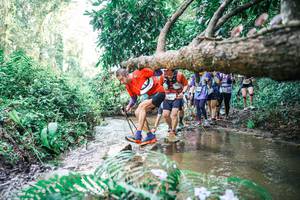 BIB: 
                            <button type="button" onclick="openModal(25476195)" class="btn btn-primary btn-sm float-right btn-popup" data-toggle="modal" data-target=".modal-high-quality">
                        <i class="fas fa-shopping-cart"></i> Add to Cart
                    </button>
                                            <button type="button" onclick="isThisMe(25476195, true)" class="btn btn-success btn-sm float-right btn-popup btn-isme hidden" data-toggle="tooltip" data-placement="bottom" title="นี่คือรูปของคุณใช่ไหม คลิกที่นี่เพื่อเอาเข้าอัลบั้ม">
                        <i class="fas fa-plus"></i> Add to album
                    </button>
                    <button type="button" onclick="isThisMe(25476195, false)" class="btn btn-warning btn-sm float-right btn-popup btn-isnotme hidden">
                        <i class="fas fa-ban"></i> Remove from album
                    </button>